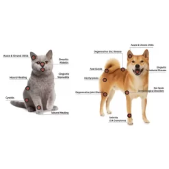 Alternative view of Máy Phẩu Thuật Bằng Tia Laser Cho Thú Cưng ARI VDL15A